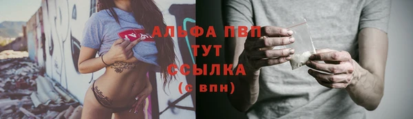 твердый Новокубанск