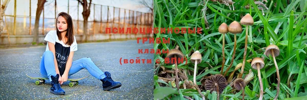 твердый Новокубанск